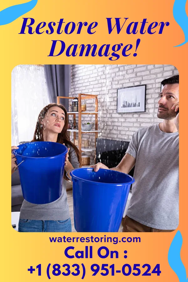 water restoration Express Drying Partners Free Soil