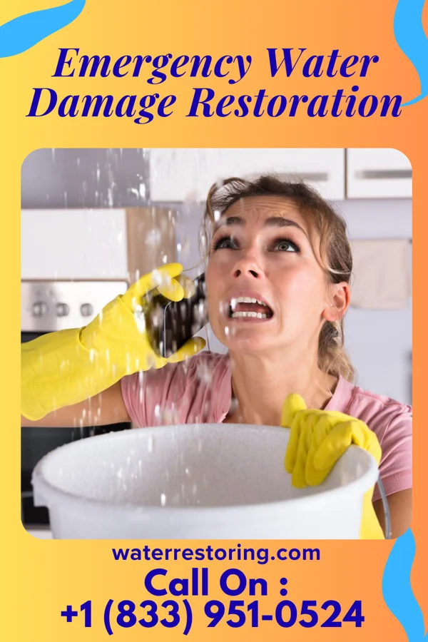 Emergency Water Damage Restoration in Free Soil, MI