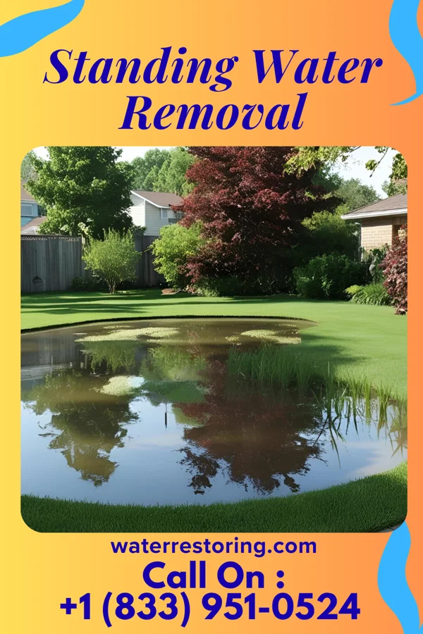 Standing Water Removal in Free Soil, MI